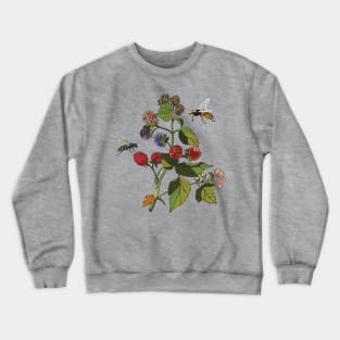 Botanical illustration a plant with berries and a wasp Crewneck Sweatshirt